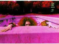 RKS Poetry Anthology (All We Get Are The Coffee Grinds):”Casino COVID”