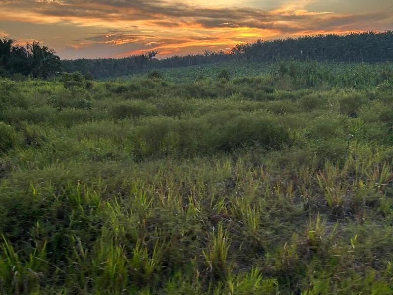 RKS Poetry Anthology: “Go west young&nbsp;man!”