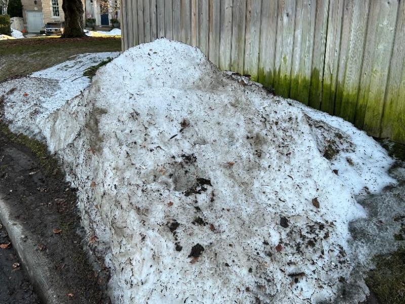 RKS Poetry Anthology (All We Get Are The Coffee Grinds): “Optical Illusion&nbsp;Oasis”