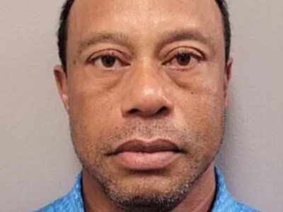 Lost in Puppydom Rory Dylan Stephen’s Puppydom: RORY DYLAN STEPHEN AND TIGER WOODS PICKED UP ON DUI&nbsp;CHARGE!