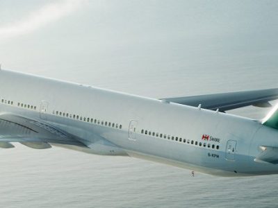 “Lost in Puppydom: Rory Dylan Stephen’s Puppydom”: STATEMENT FROM THE HONG KONG SOCIETY AGAINST CANINE&nbsp;TRAFFICKING