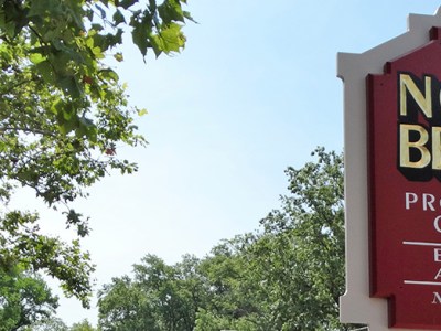 “Lost in Puppydom: Rory Dylan Stephen’s Puppydom”: BERGEN DAILY BLATHERER SENDING INVESTIGATIVE REPORTER TO SINGAPORE TO UNCOVER TRUTH ABOUT ABDUCTION OF RORY D. STEPHEN AND THE ROLE OF THE NORTH BERGEN CONSTABULARY IN THE “STEPHEN WESTIE&nbsp;ABDUCTION”