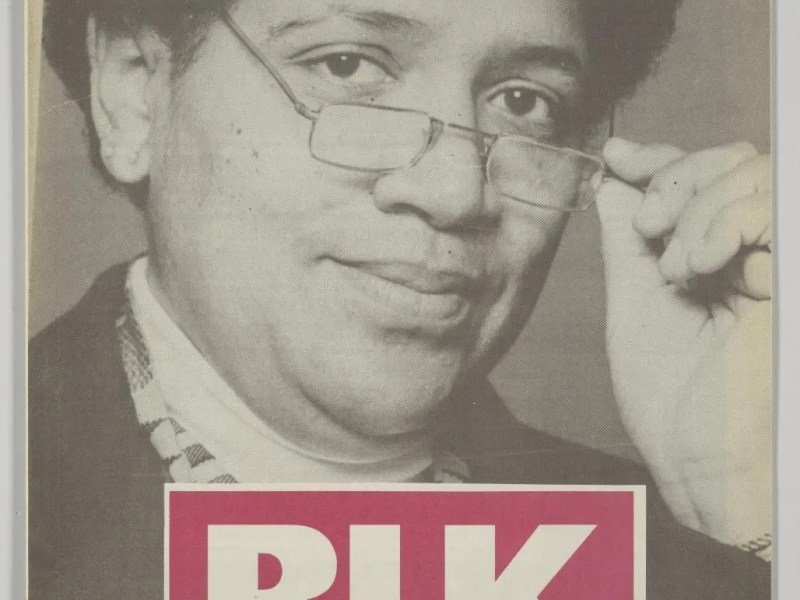 RKS AMERICAN LITERATURE: BLACK Survival Skills (Audre&nbsp;Lorde)