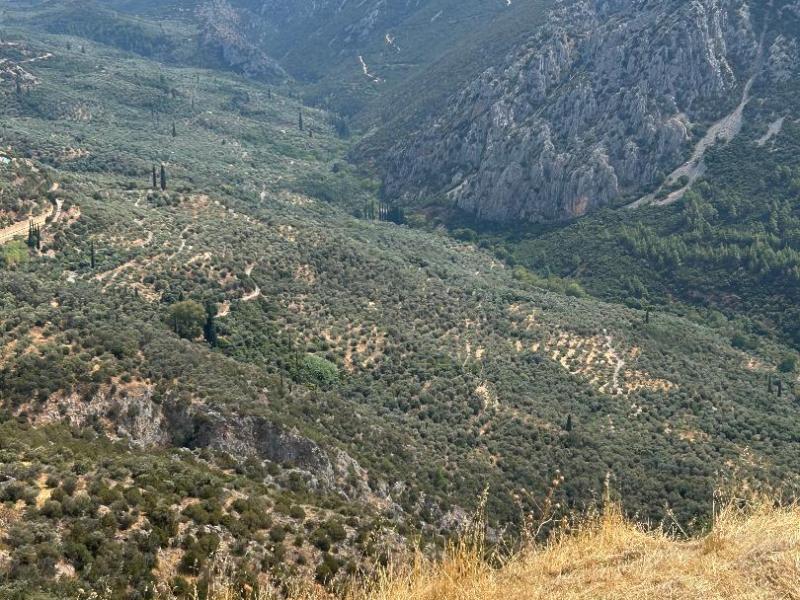 2026 GREEK TRAVEL ADVENTURE: Short Attention Span Version: 20September2026: Delphi/Meteora: Please, Pretty Please Let There be a Petrol Station: Herds of Cows Blocking the&nbsp;Road