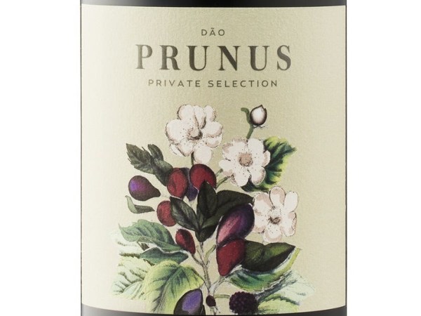 RKS Portuguese Wine: More Label Malarky:  2022 Prunus from the Dão: Stomped with Clean&nbsp;Feet?