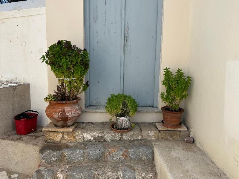 2026 GREEK TRAVEL ADVENTURE: Short Attention Span Version: 24September2026: Spetses/Athens: Last Full Day in Greece: The Talkative and Somewhat Demanding Taxi&nbsp;Driver